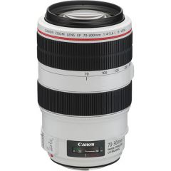 Canon EF 70-300mm f/4-5.6L IS USM Lens