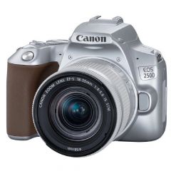 Canon EOS 250D 18-55 STM Lens - Silver